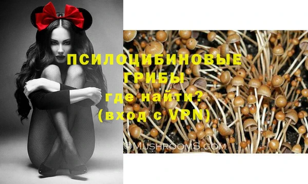 кокс Алзамай
