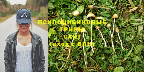 МДПВ Алексин