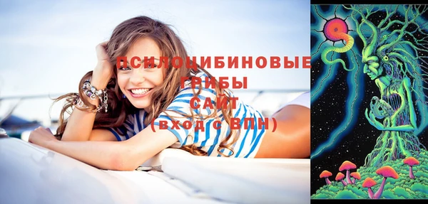 кокс Алзамай