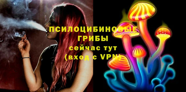 ECSTASY Абаза