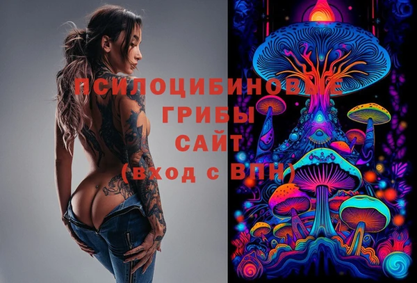 МДПВ Алексин