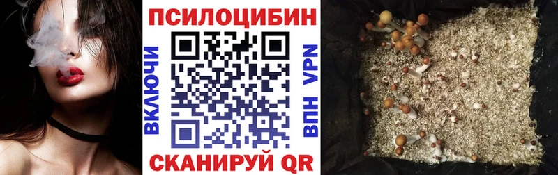 Галлюциногенные грибы MAGIC MUSHROOMS  Краснозаводск 
