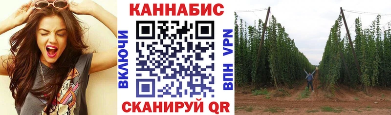 Канабис индика  Краснозаводск 